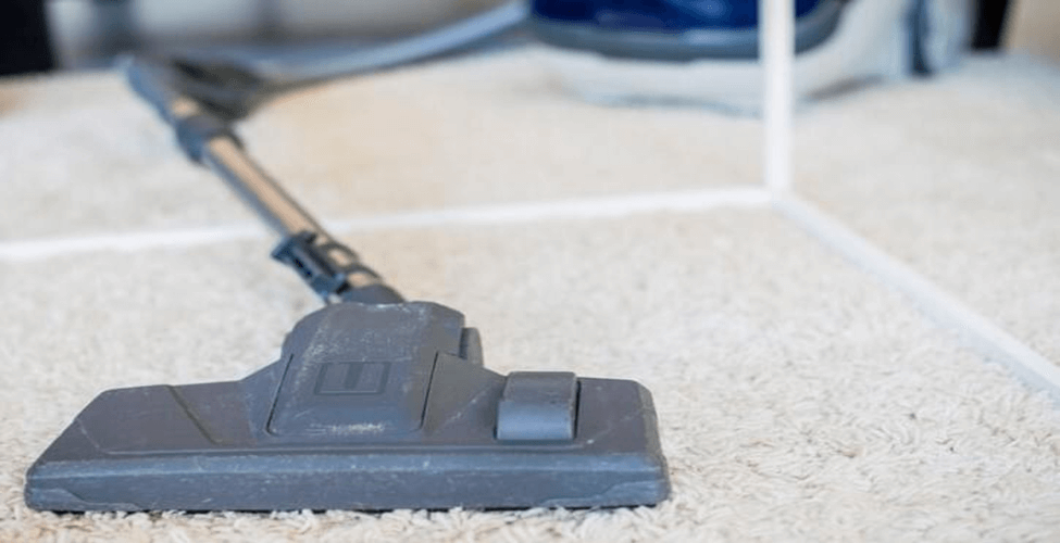 Hire the Best Professional Carpet Cleaning Services in Singapore