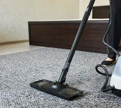 Deep Carpet Cleaning and Sanitising