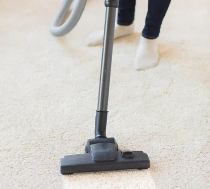 Dust Mite and Allergen Removal